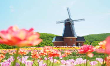 GOURMET TOUR DE HOKKAIDO