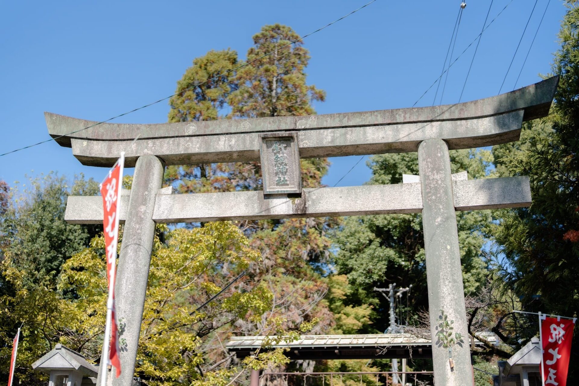 LINE_ALBUM_2023.11.1 _1_231117_166_0