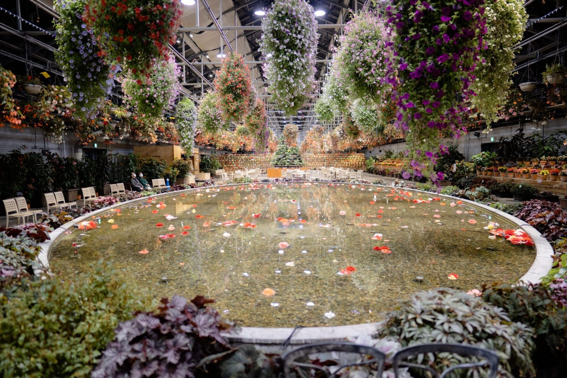 LINE_ALBUM_2023.11.1 _2_231117_18_0