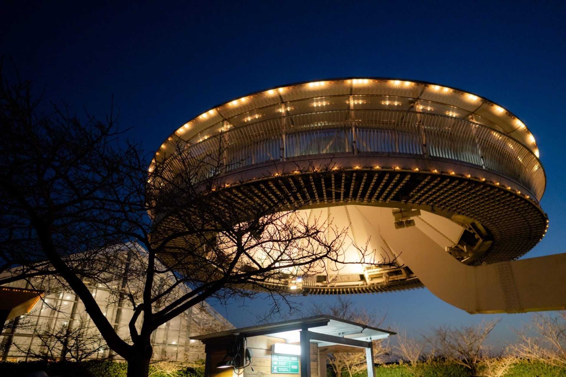 LINE_ALBUM_2023.11.1 _2_231117_67_0