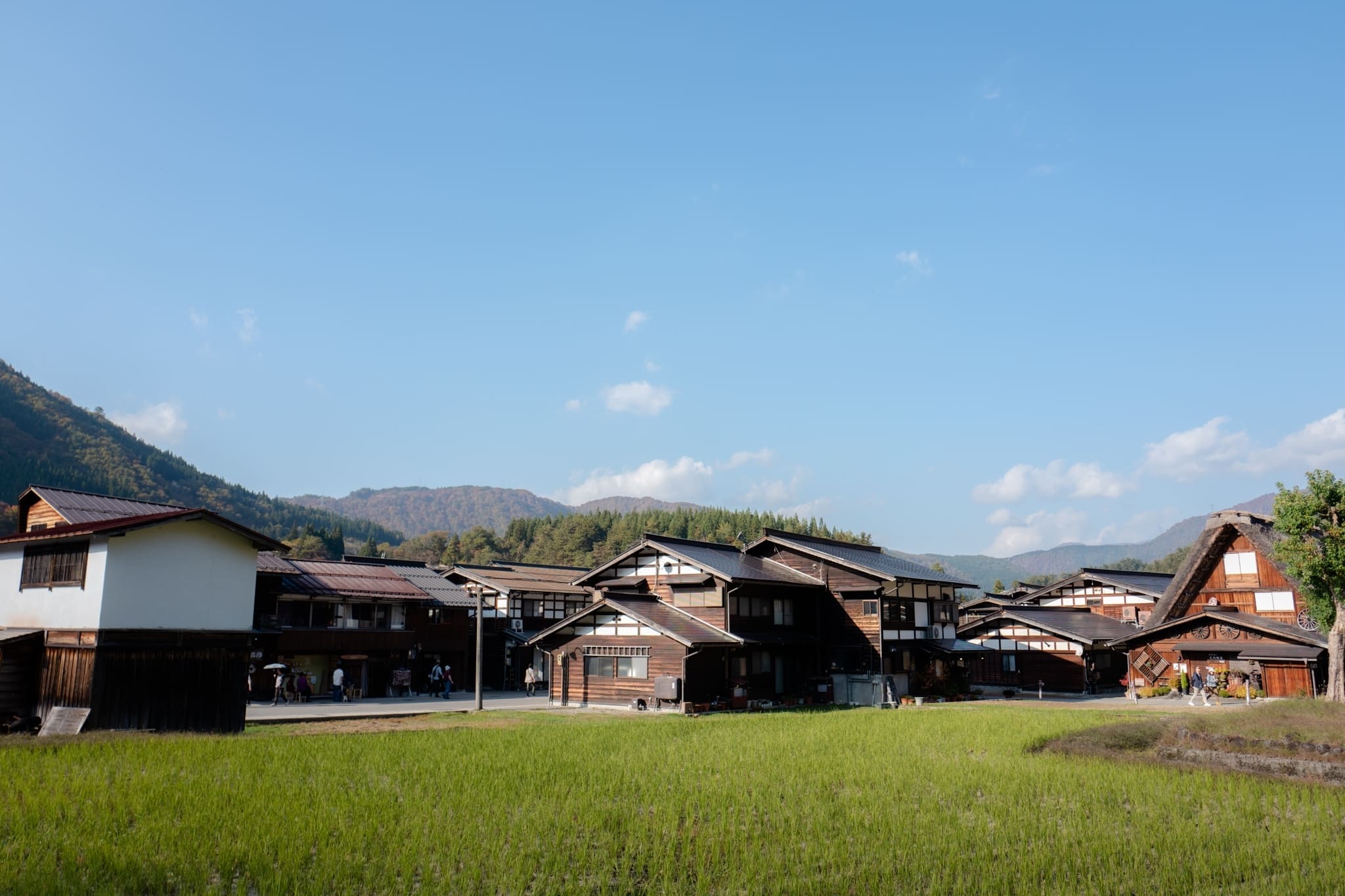 LINE_ALBUM_2023.11.2 _1_231117_24_0