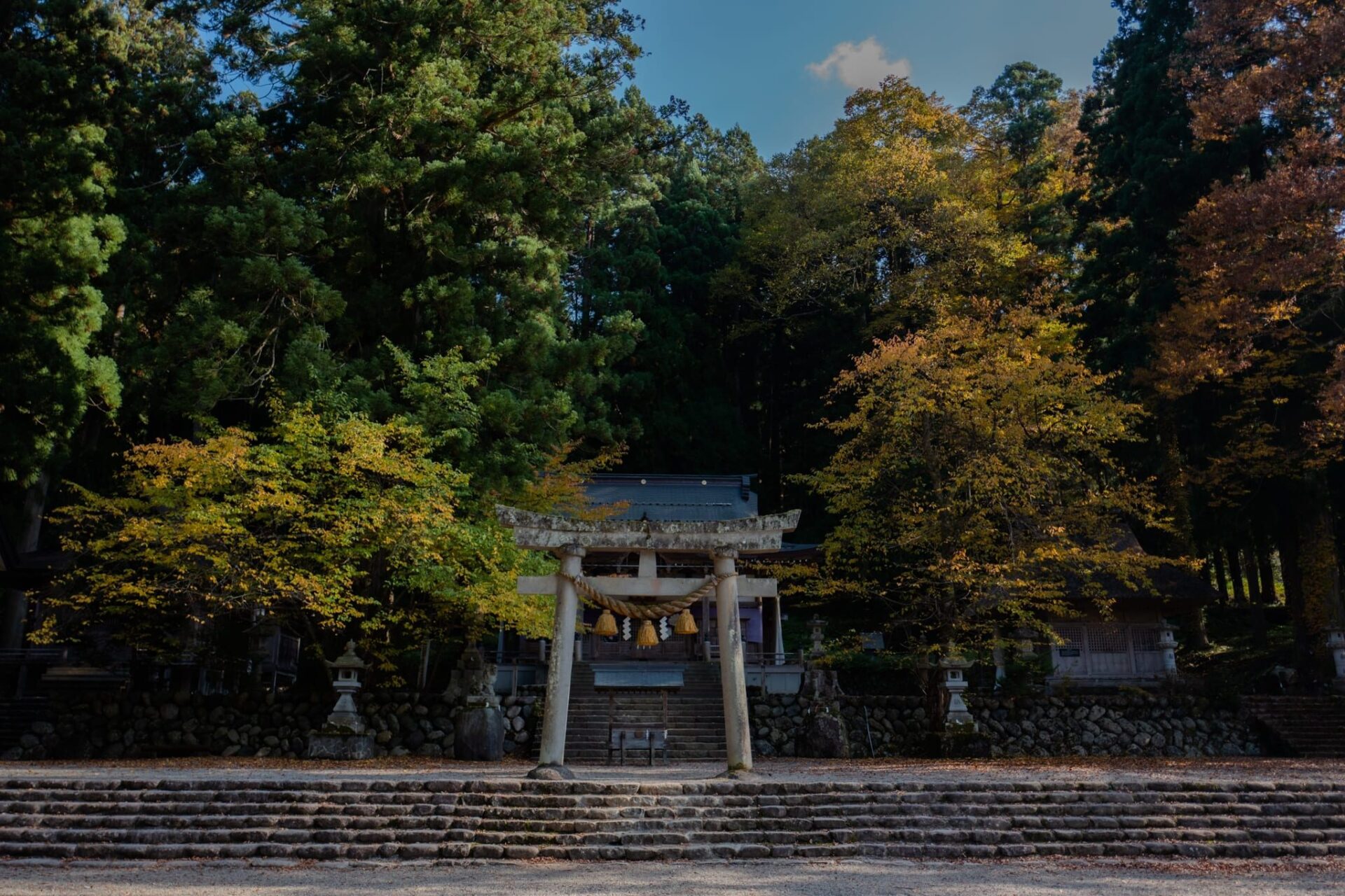 LINE_ALBUM_2023.11.2 _1_231117_26_0