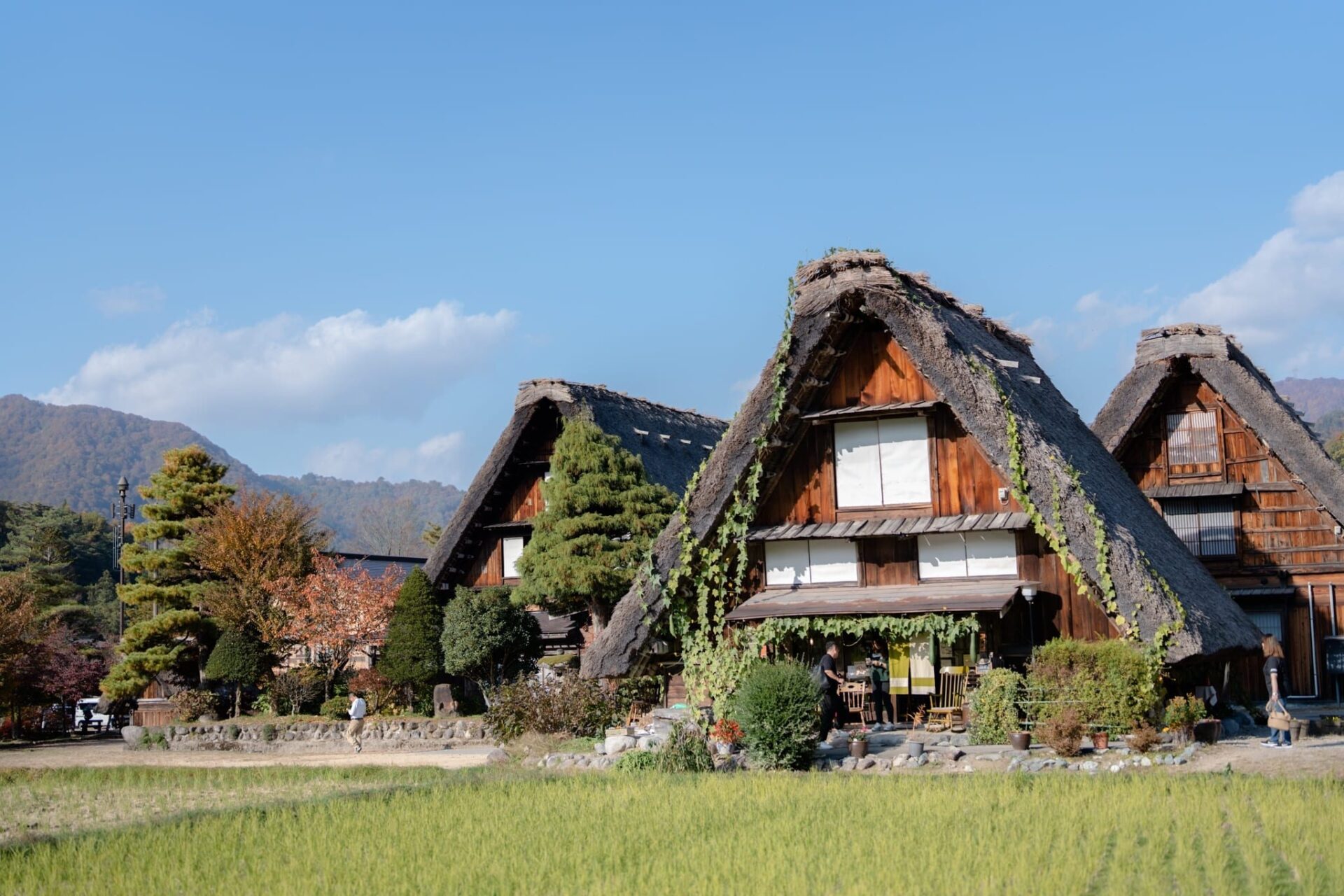 LINE_ALBUM_2023.11.2 _2_231117_14_0