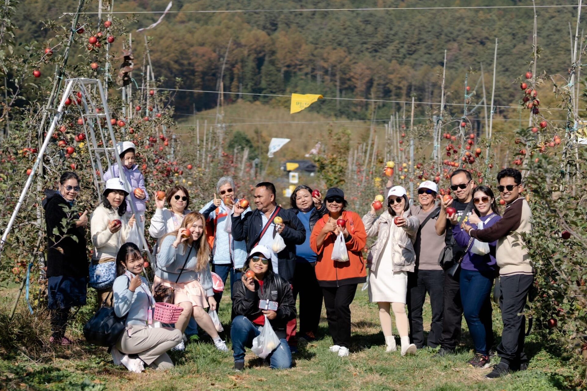 LINE_ALBUM_2023.11.3 _1_231117_49_0