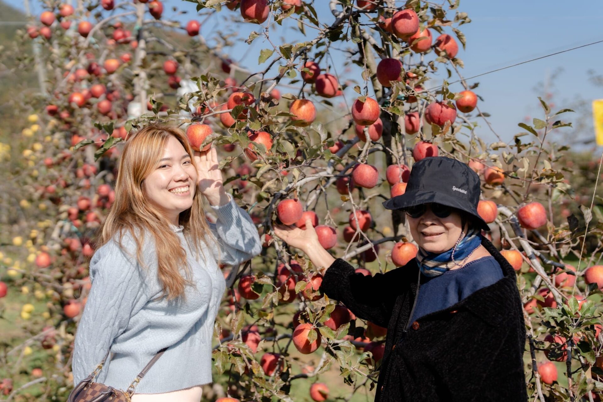 LINE_ALBUM_2023.11.3 _1_231117_71_0