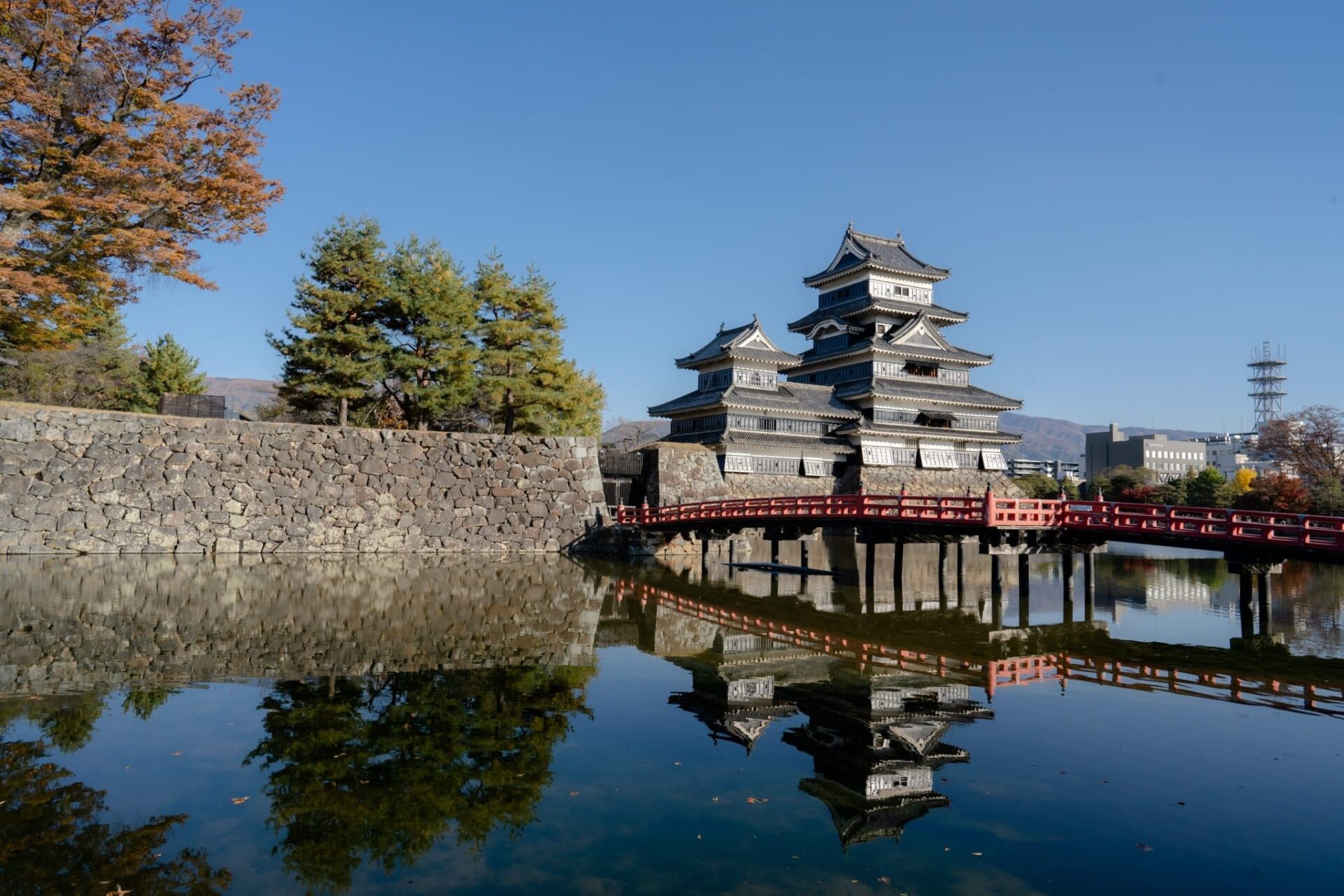 LINE_ALBUM_2023.11.3_231117_47_0