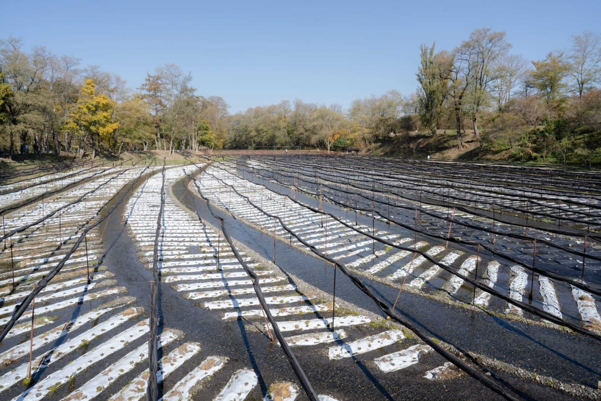 LINE_ALBUM_2023.11.3_231117_51_0