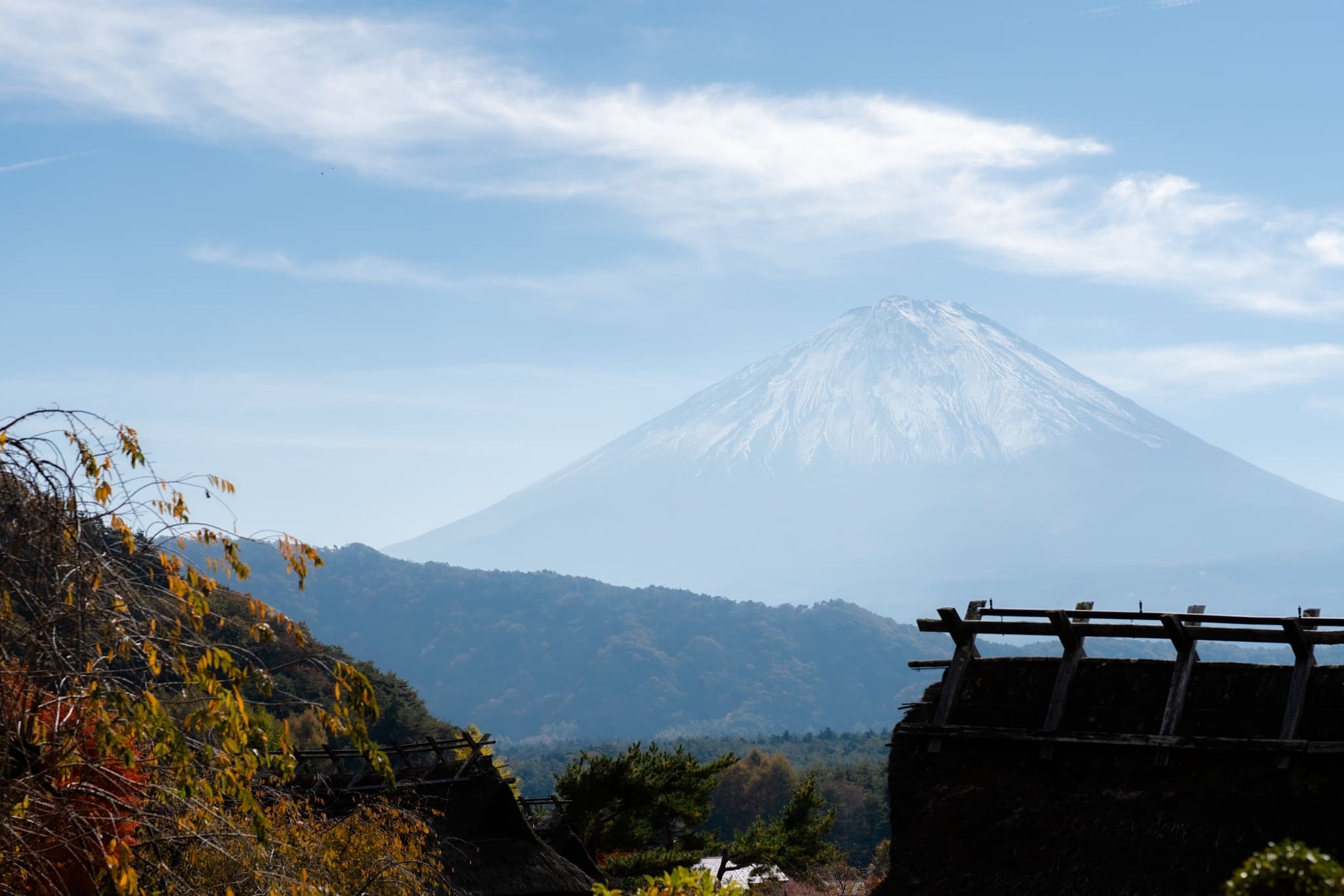 LINE_ALBUM_2023.11.4_231117_217_0