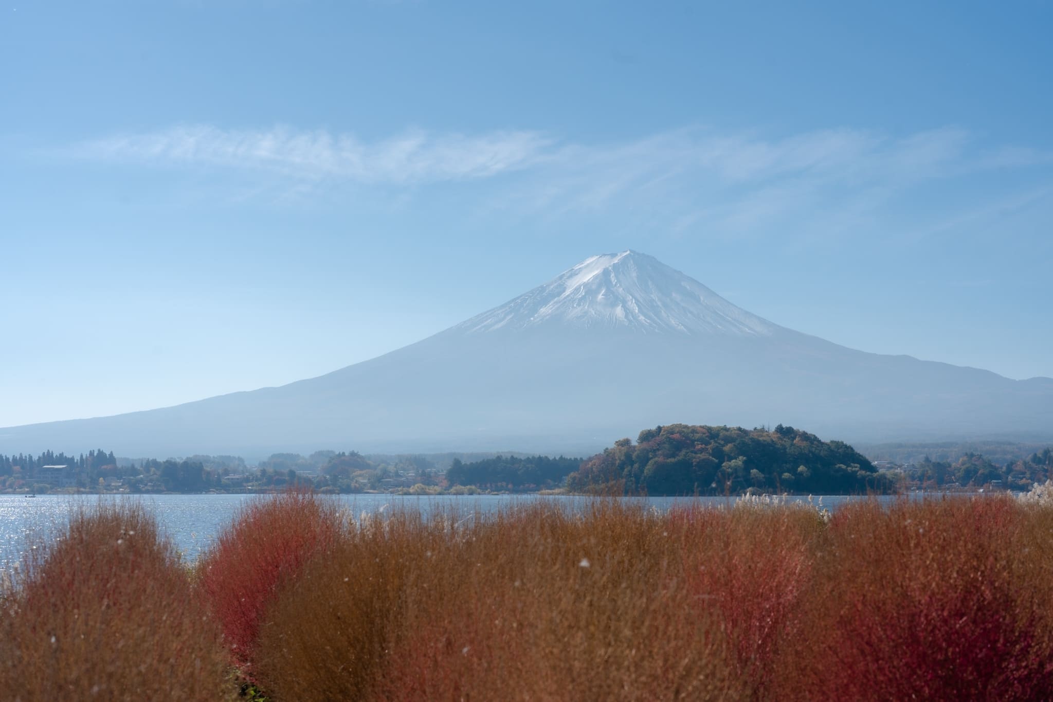 LINE_ALBUM_2023.11.4_231117_284_0