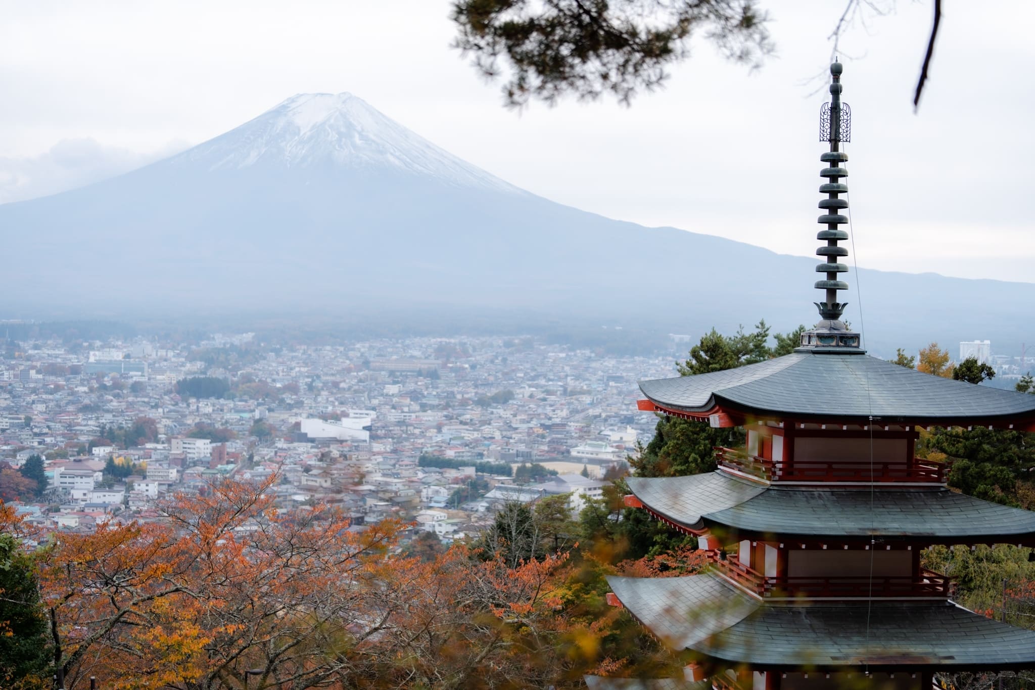 LINE_ALBUM_2023.11.4_231117_2_0