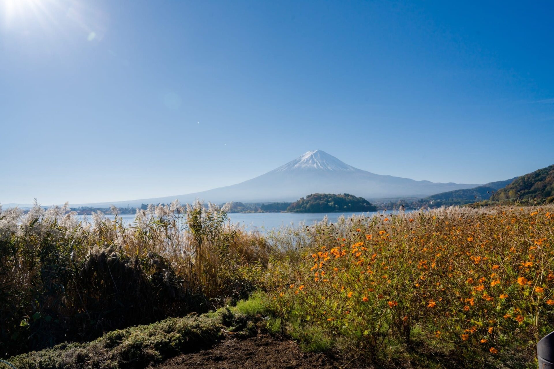 LINE_ALBUM_2023.11.8_231117_49_0