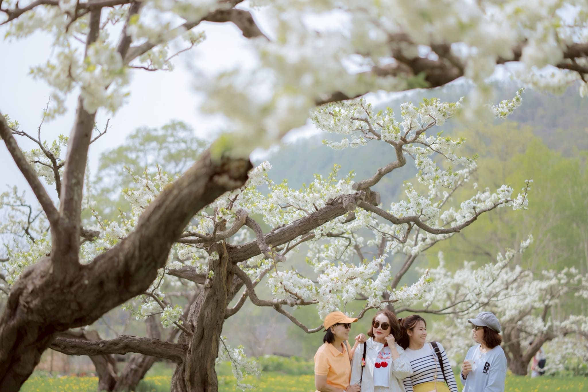 LINE_ALBUM_DAY3_14MAY_ขุน 2_250608_2_0