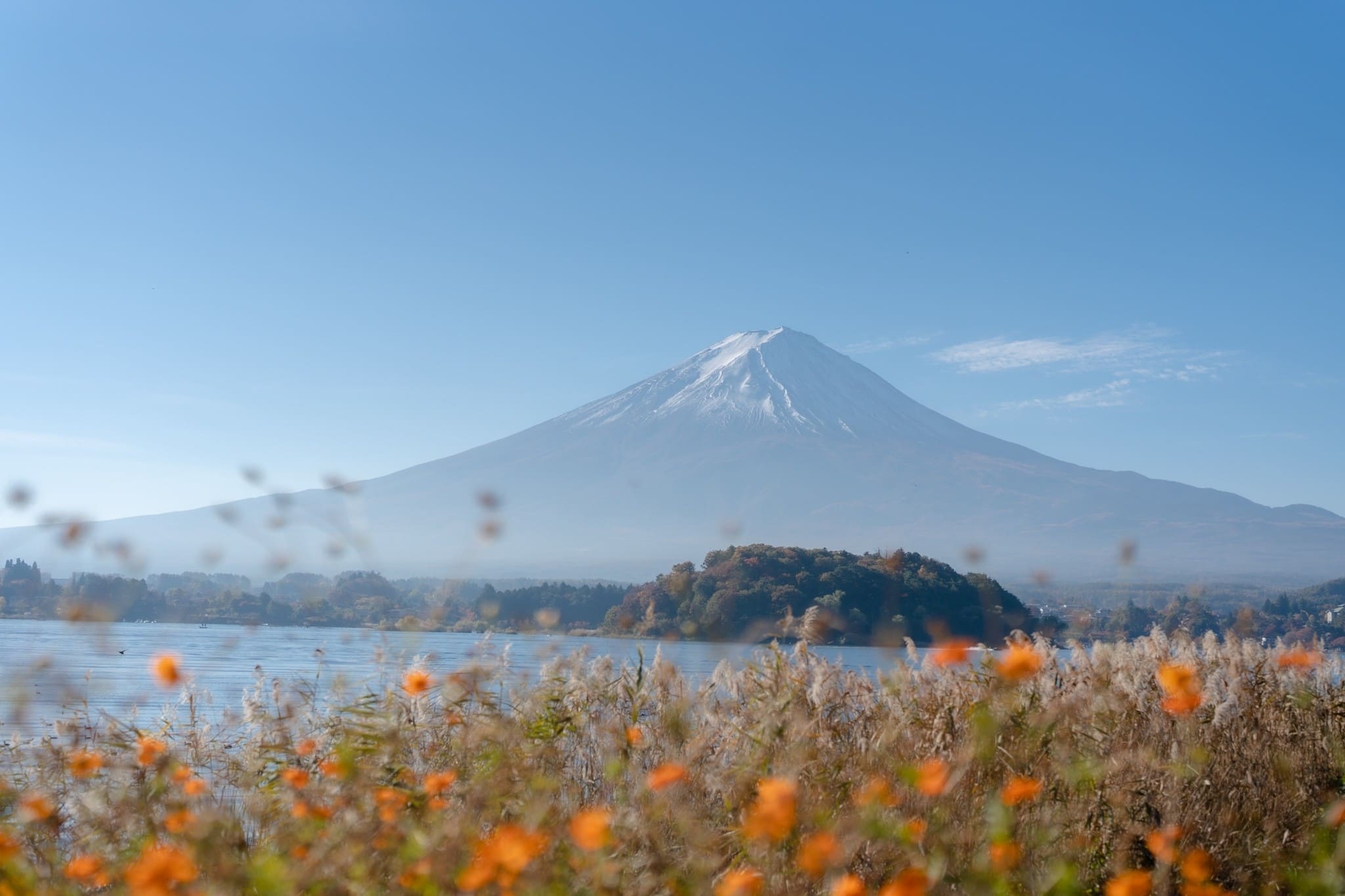 LINE_ALBUM_ฟูจิ_231122_15_0