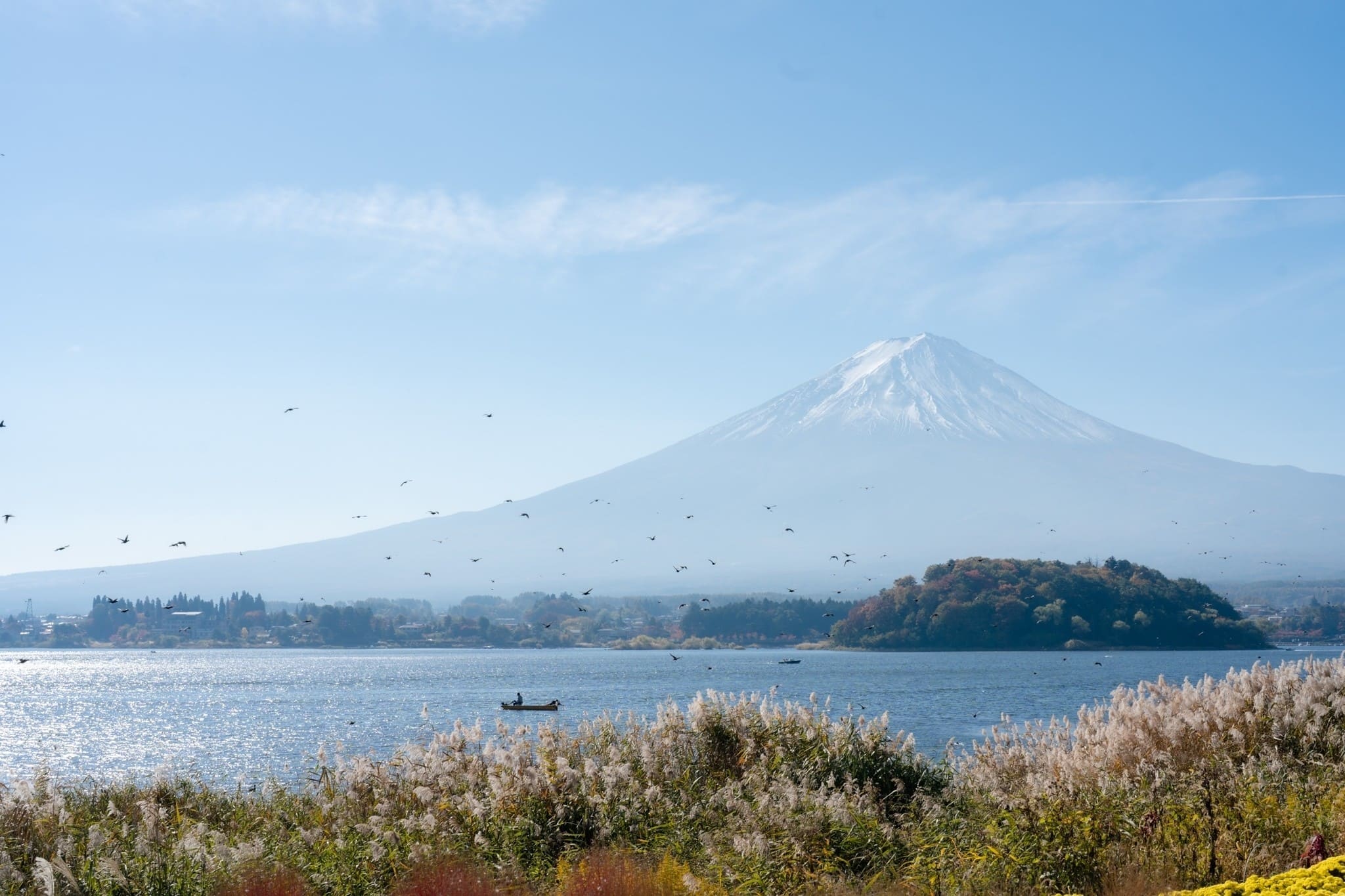 LINE_ALBUM_ฟูจิ_231122_16_0