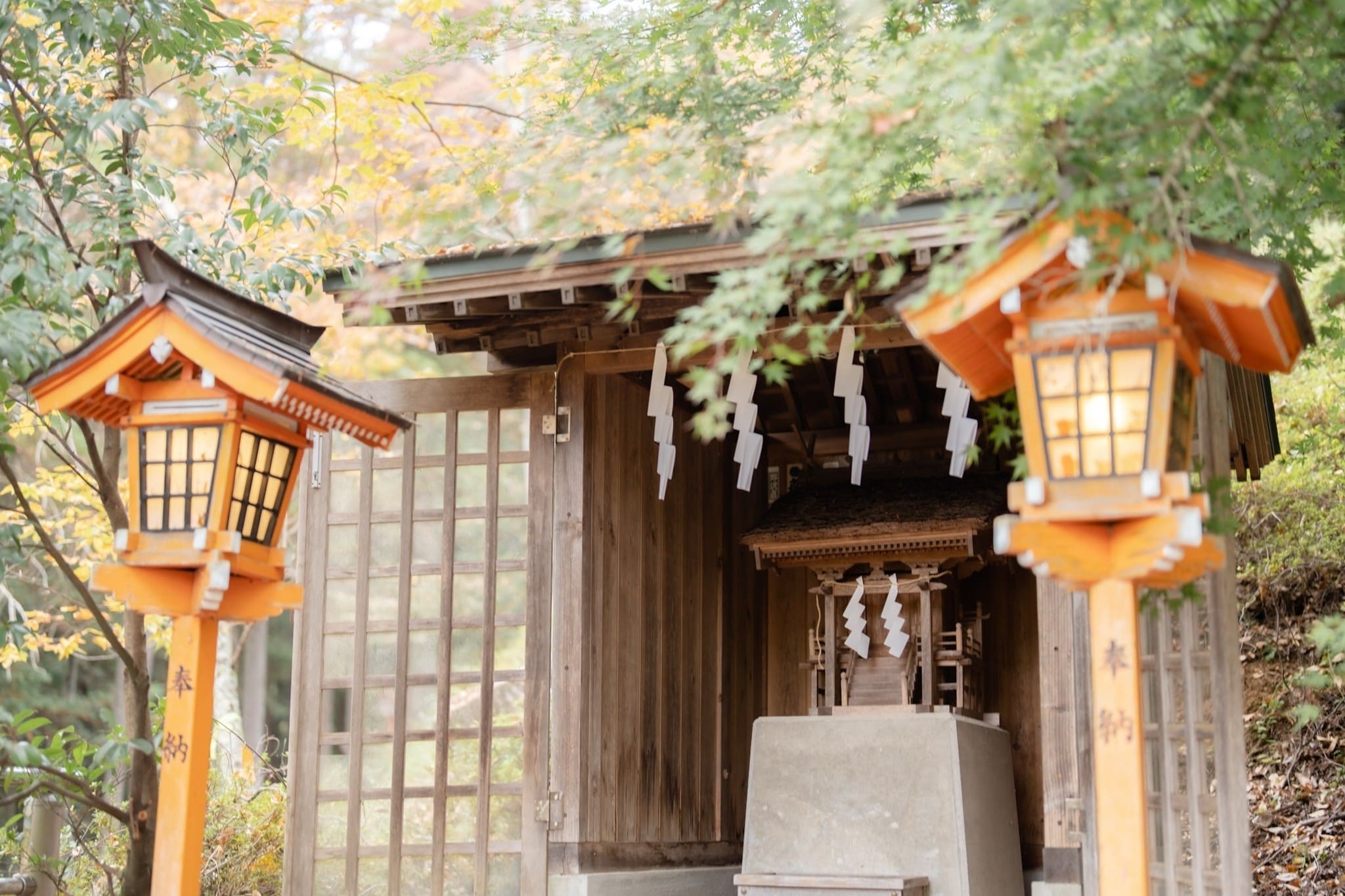 LINE_ALBUM_ฟูจิ_231122_19_0