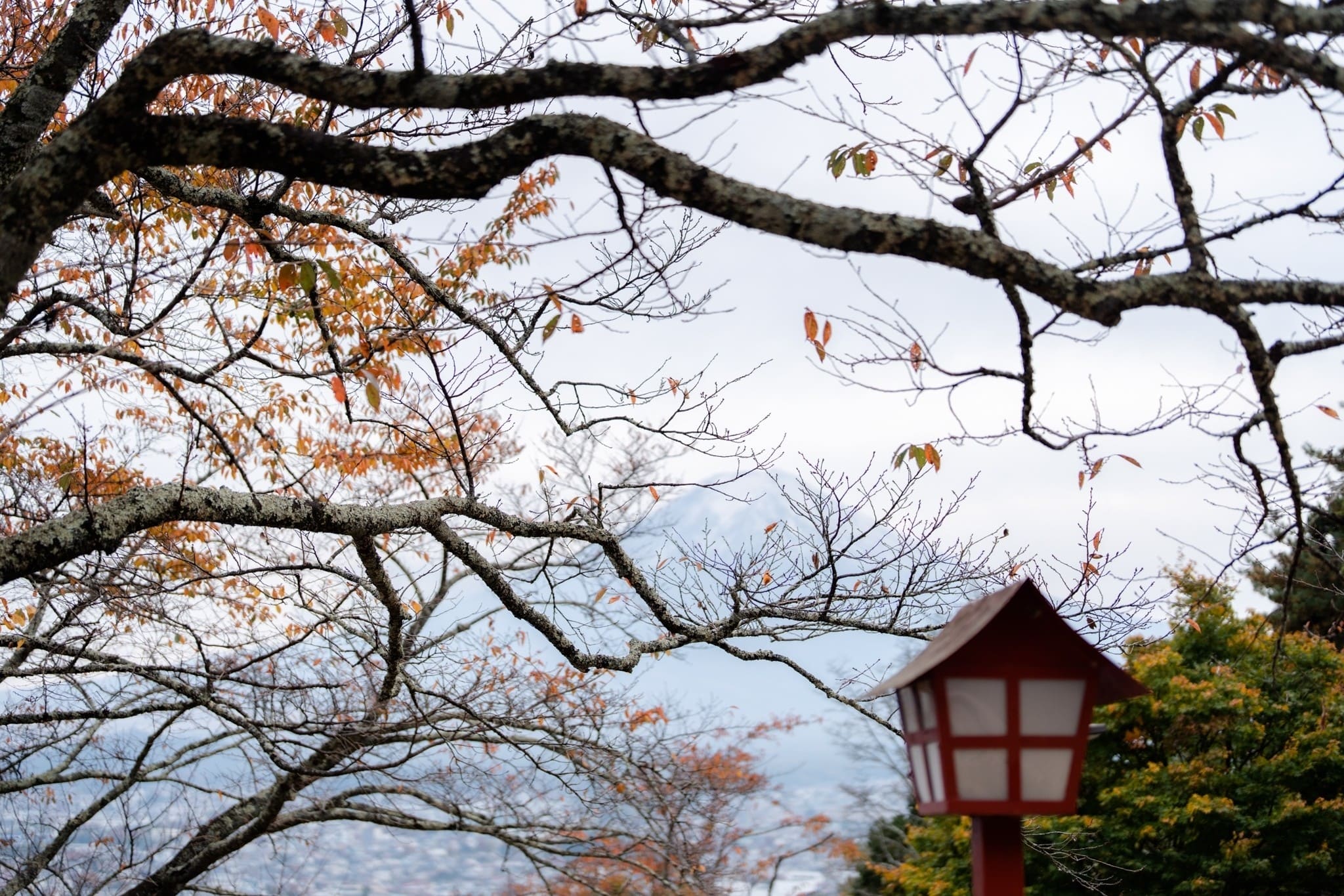 LINE_ALBUM_ฟูจิ_231122_20_0