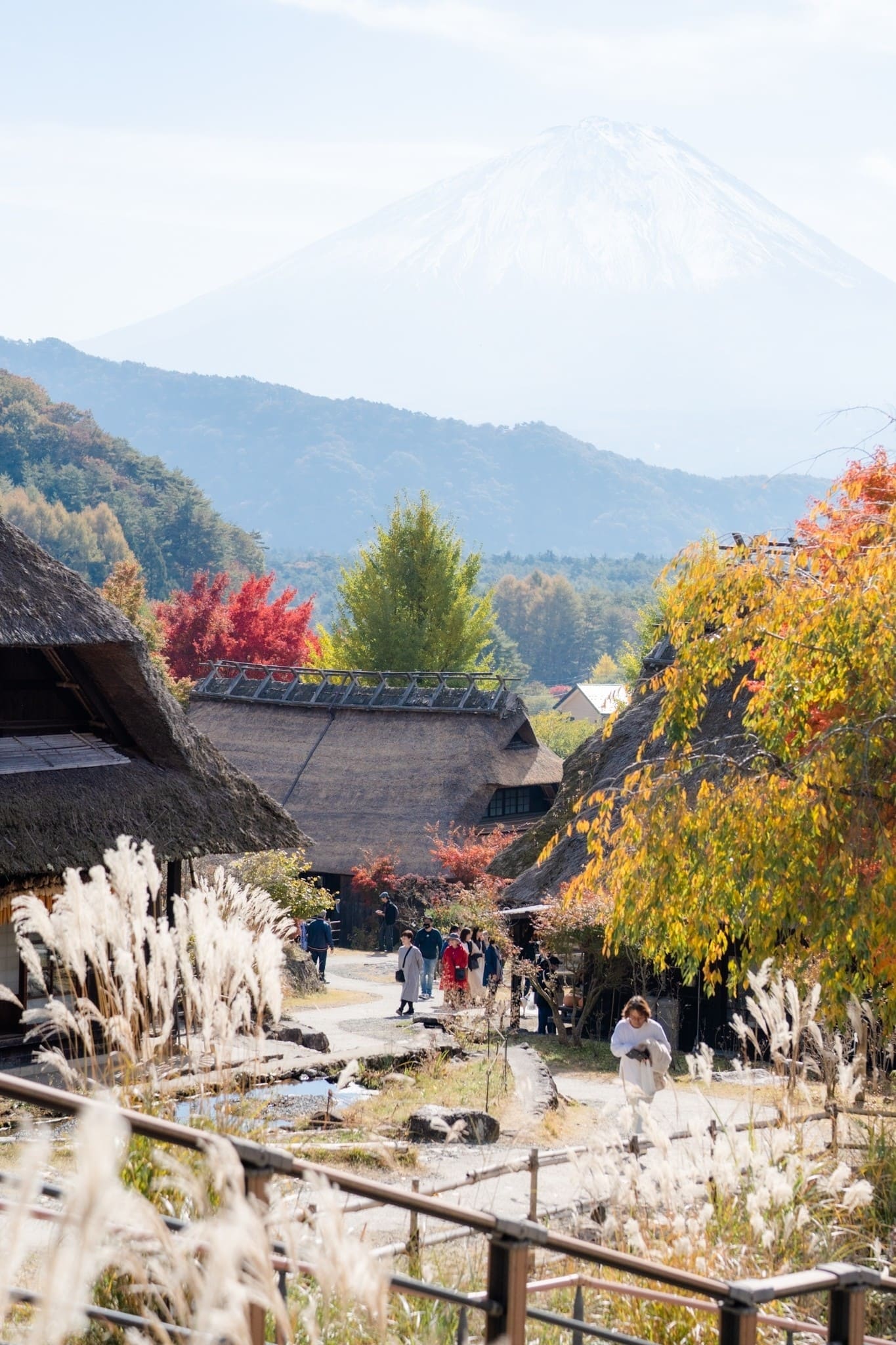 LINE_ALBUM_ฟูจิ_231122_2_0