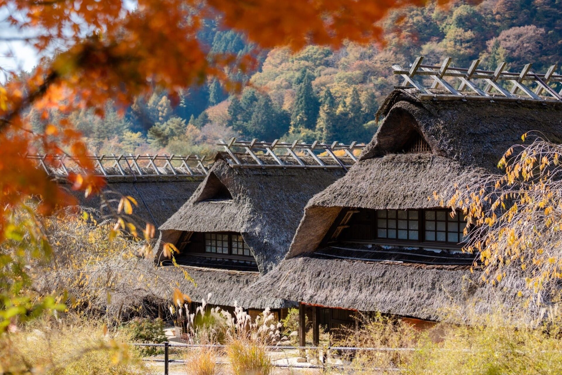 LINE_ALBUM_ฟูจิ_231122_4_0