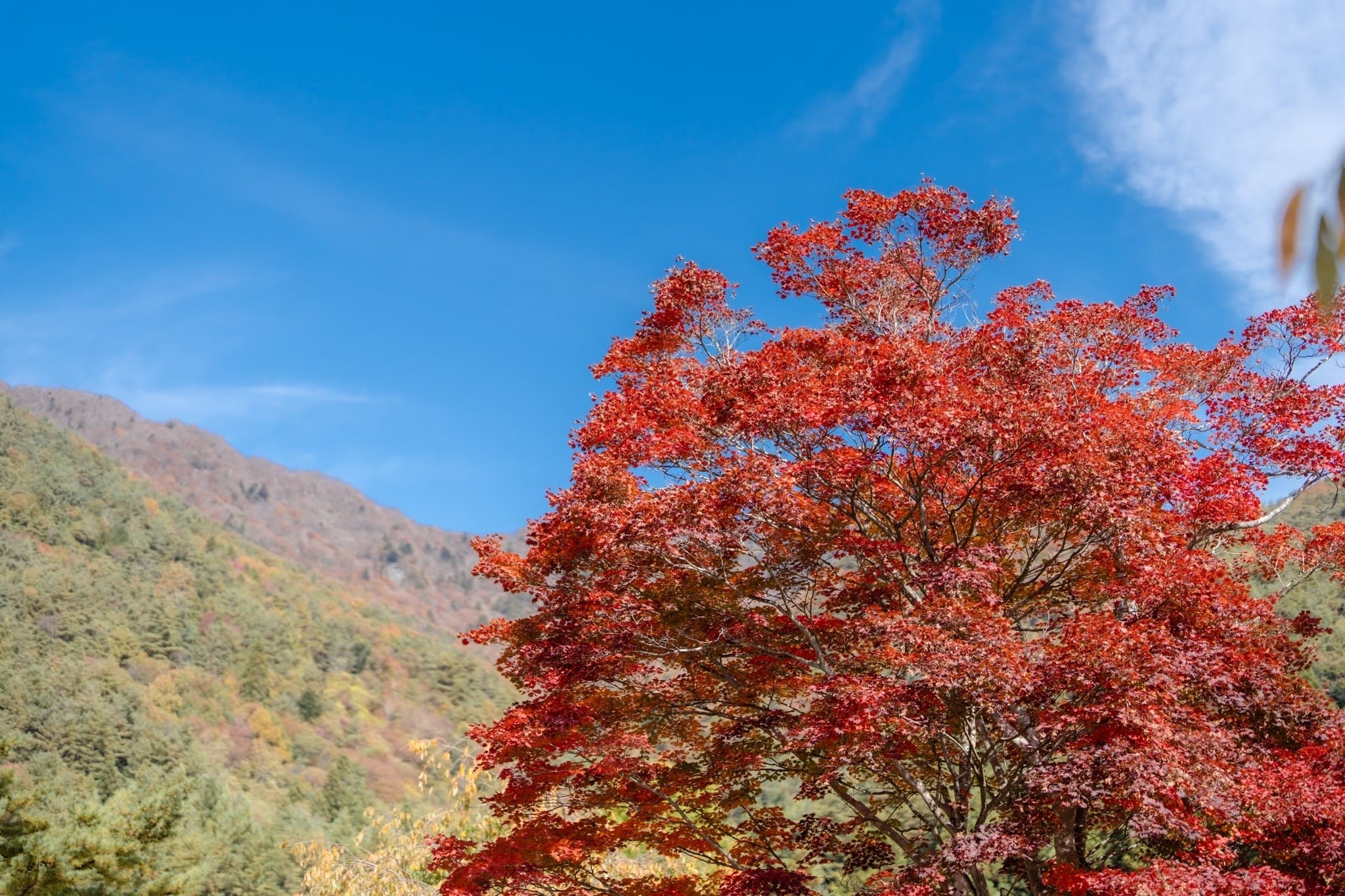 LINE_ALBUM_ฟูจิ_231122_6_0