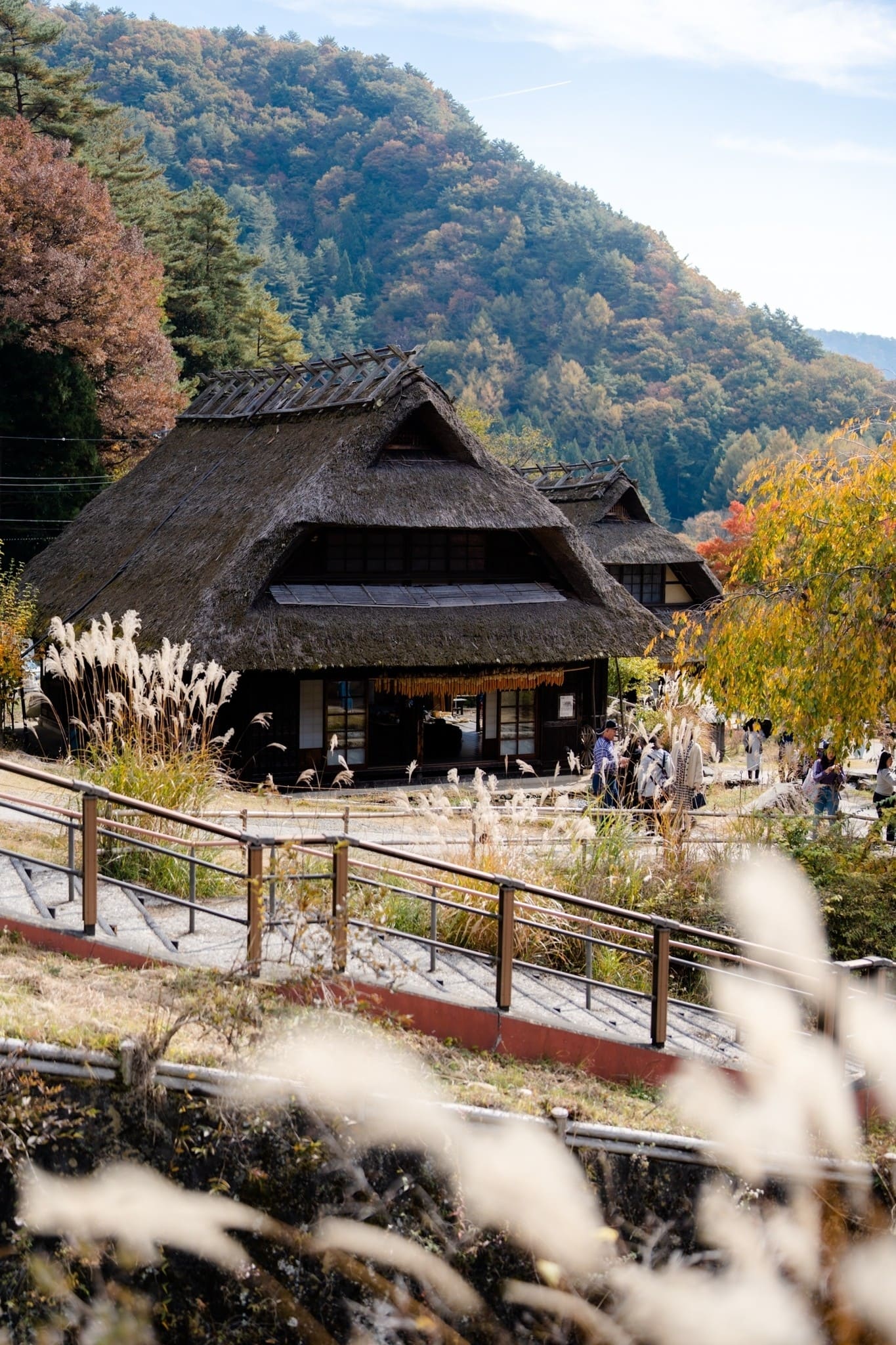 LINE_ALBUM_ฟูจิ_231122_7_0