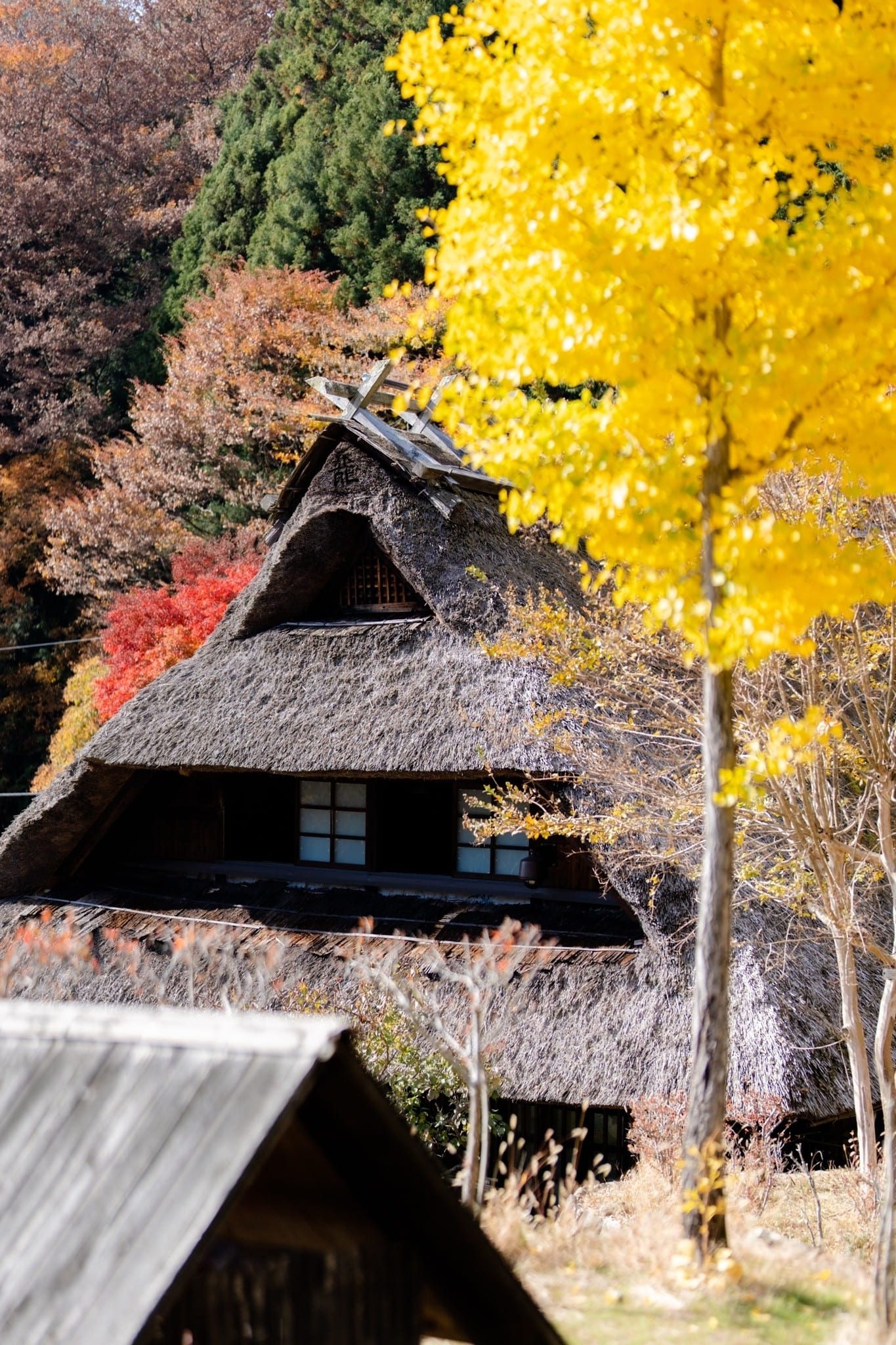 LINE_ALBUM_ฟูจิ_231122_8_0