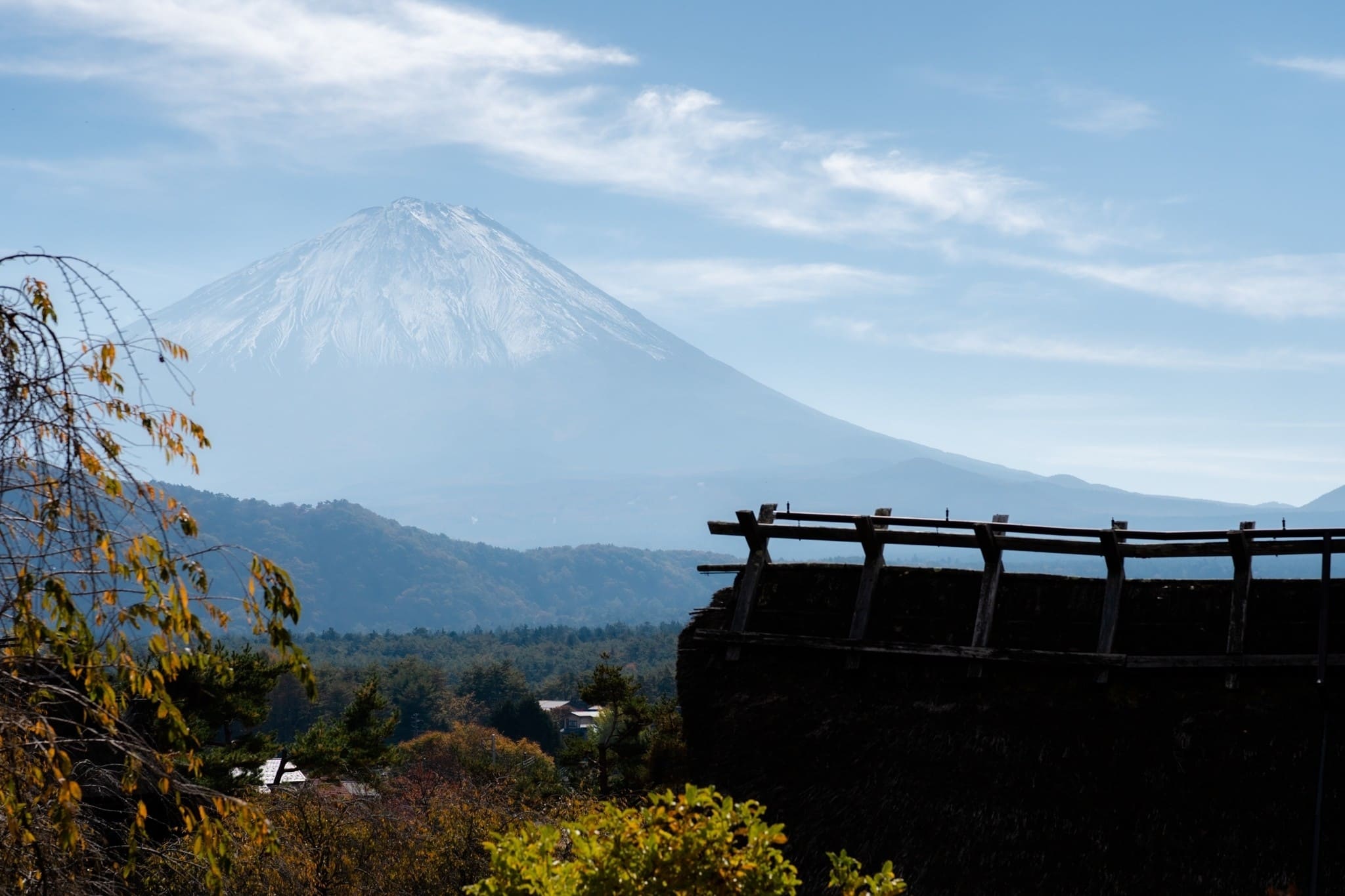 LINE_ALBUM_ฟูจิ_231122_9_0