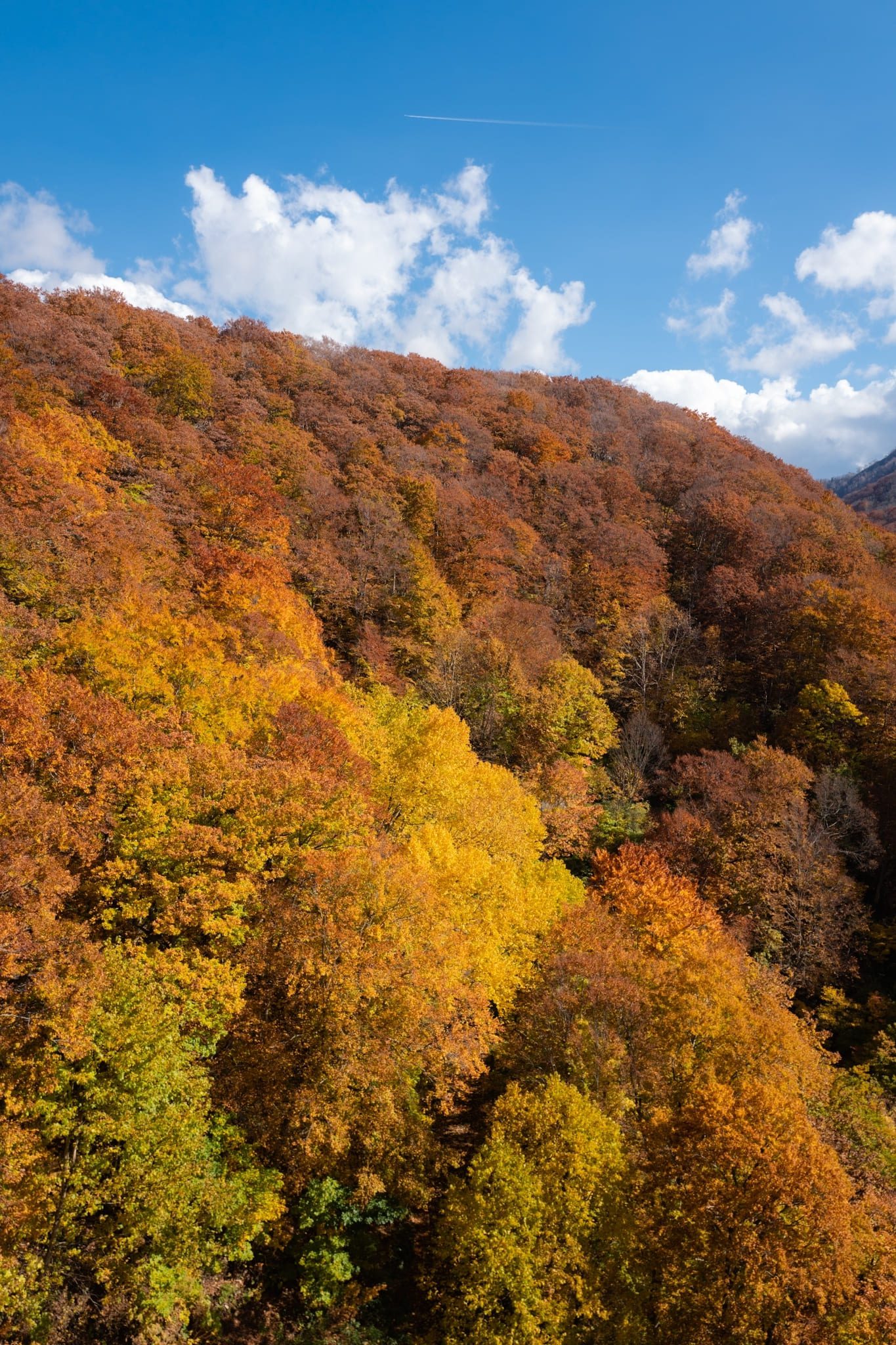 LINE_ALBUM_โทโฮคุ_231122_10_0