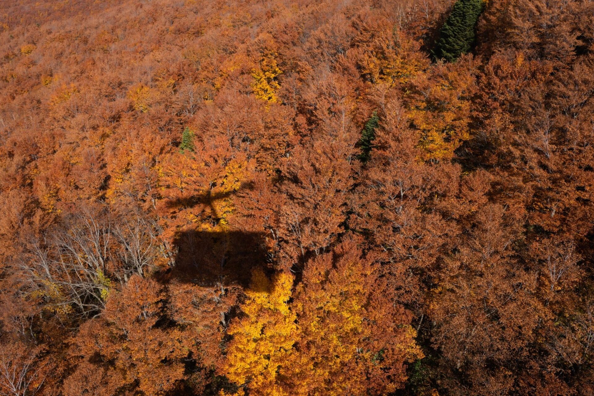 LINE_ALBUM_โทโฮคุ_231122_12_0