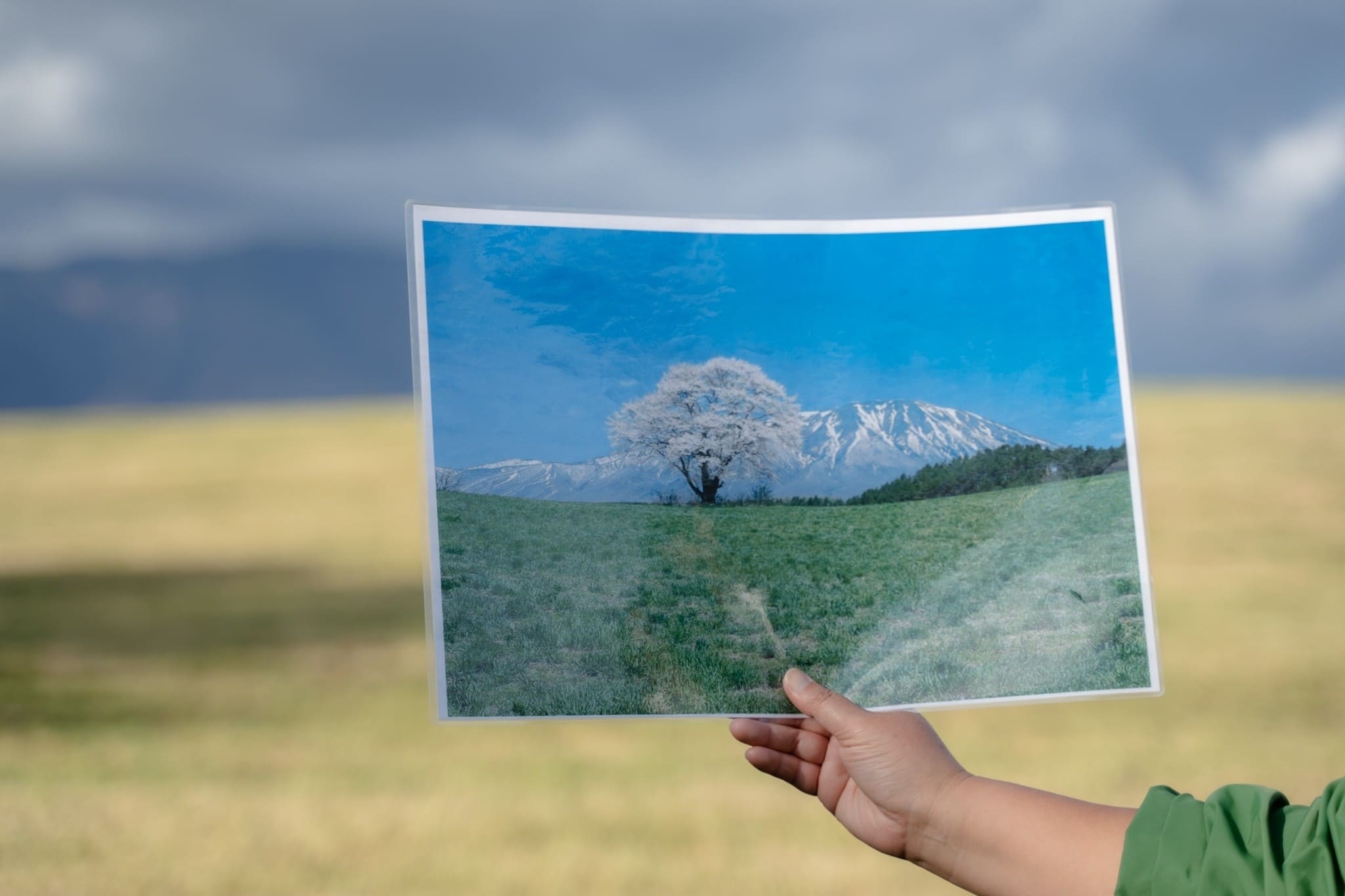 LINE_ALBUM_โทโฮคุ_231122_14_0