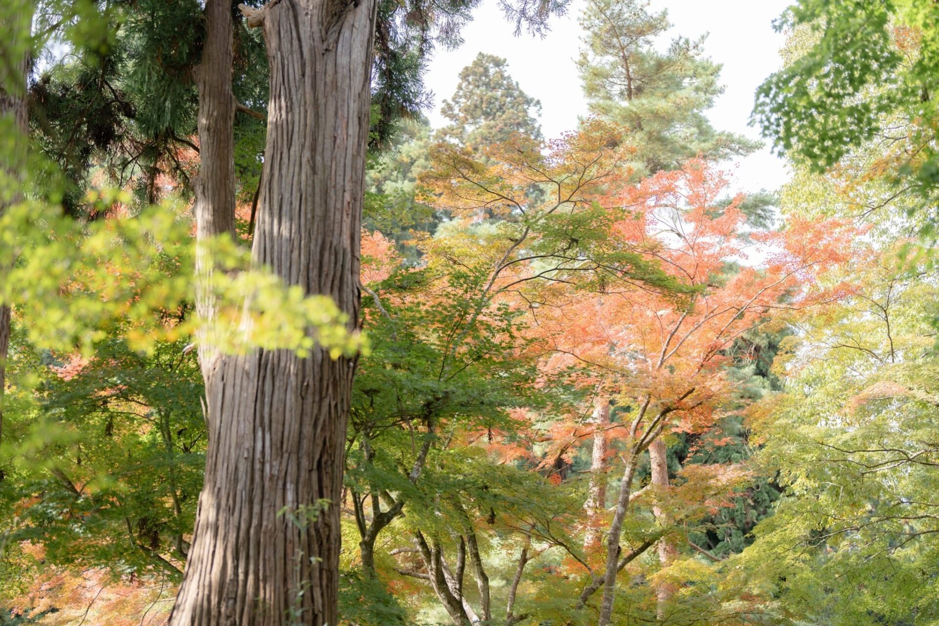 LINE_ALBUM_โทโฮคุ_231122_23_0