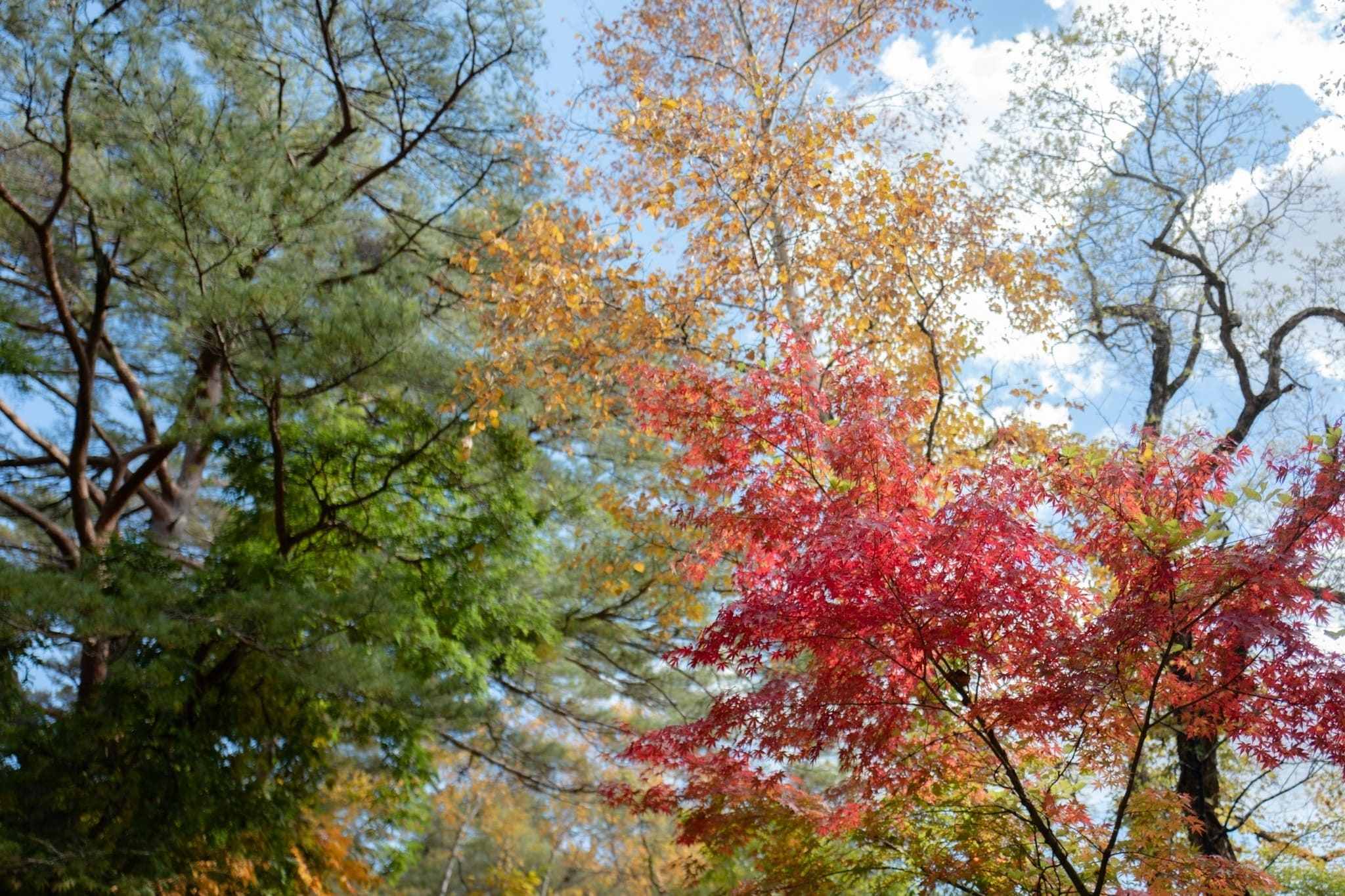 LINE_ALBUM_โทโฮคุ_231122_26_0 1