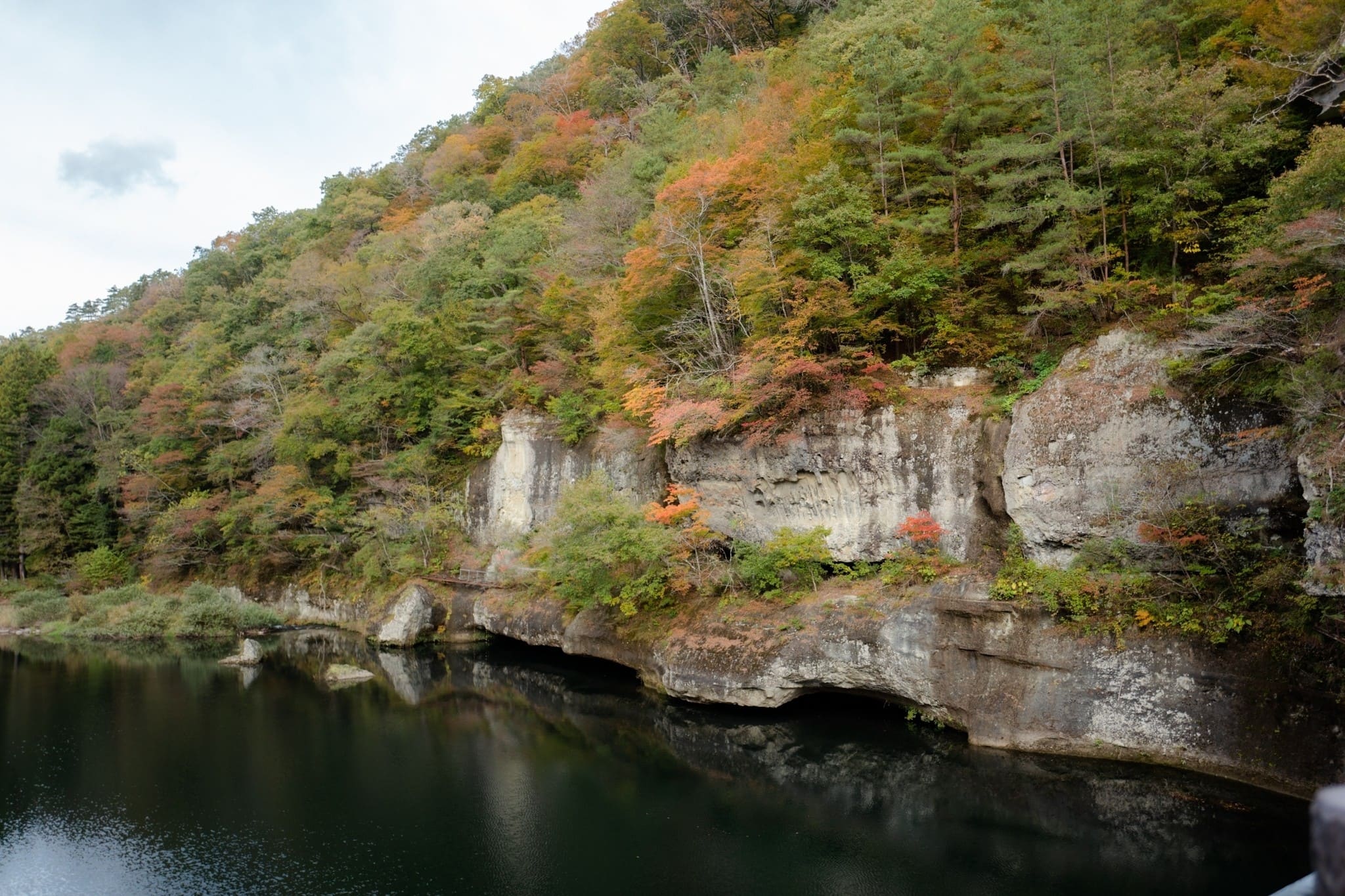 LINE_ALBUM_โทโฮคุ_231122_31_0