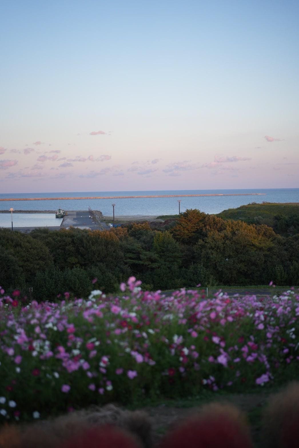 LINE_ALBUM_โทโฮคุ_231122_37_0