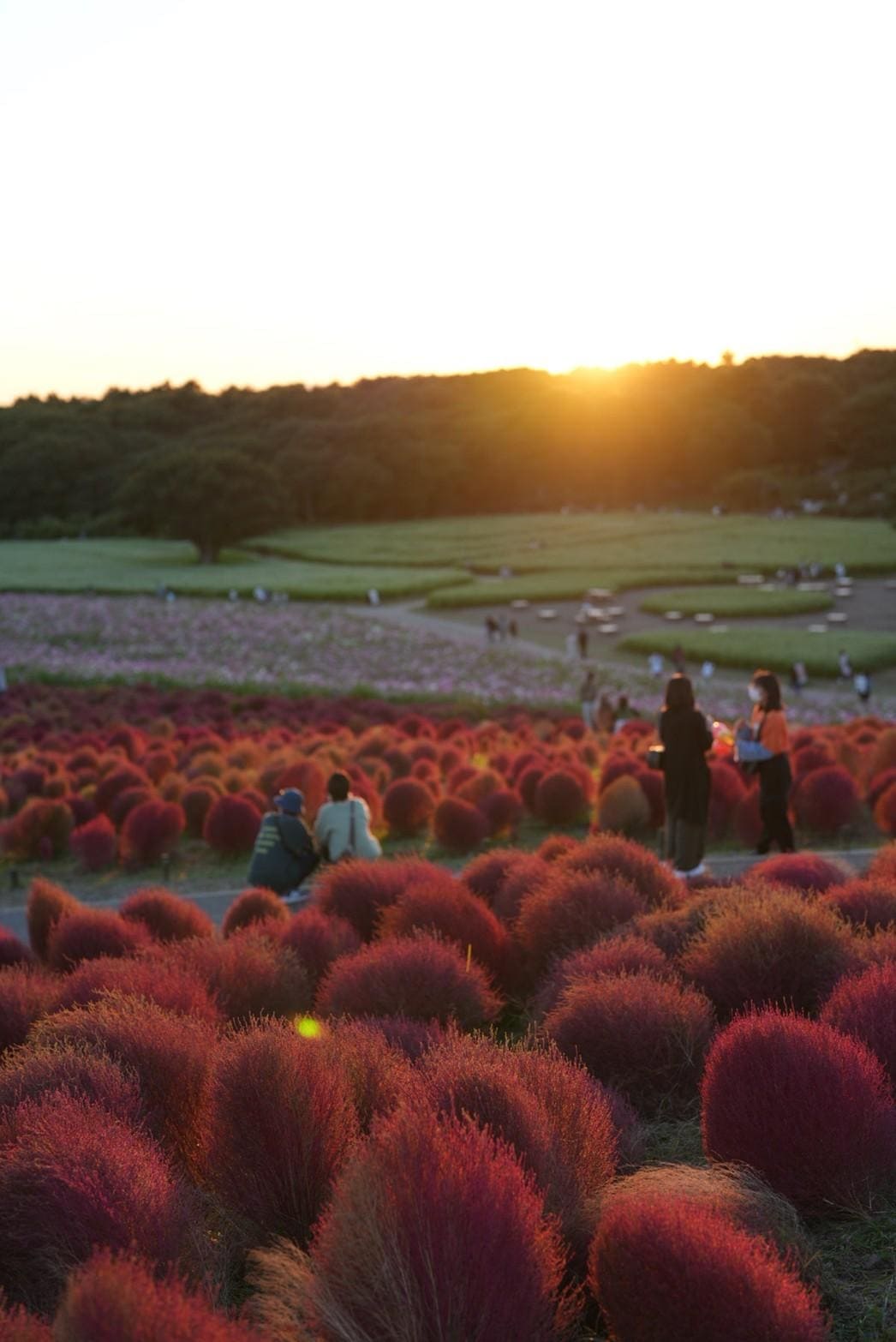 LINE_ALBUM_โทโฮคุ_231122_38_0