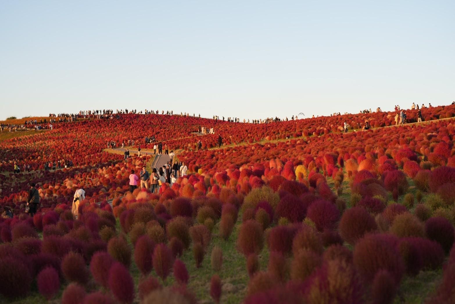 LINE_ALBUM_โทโฮคุ_231122_39_0