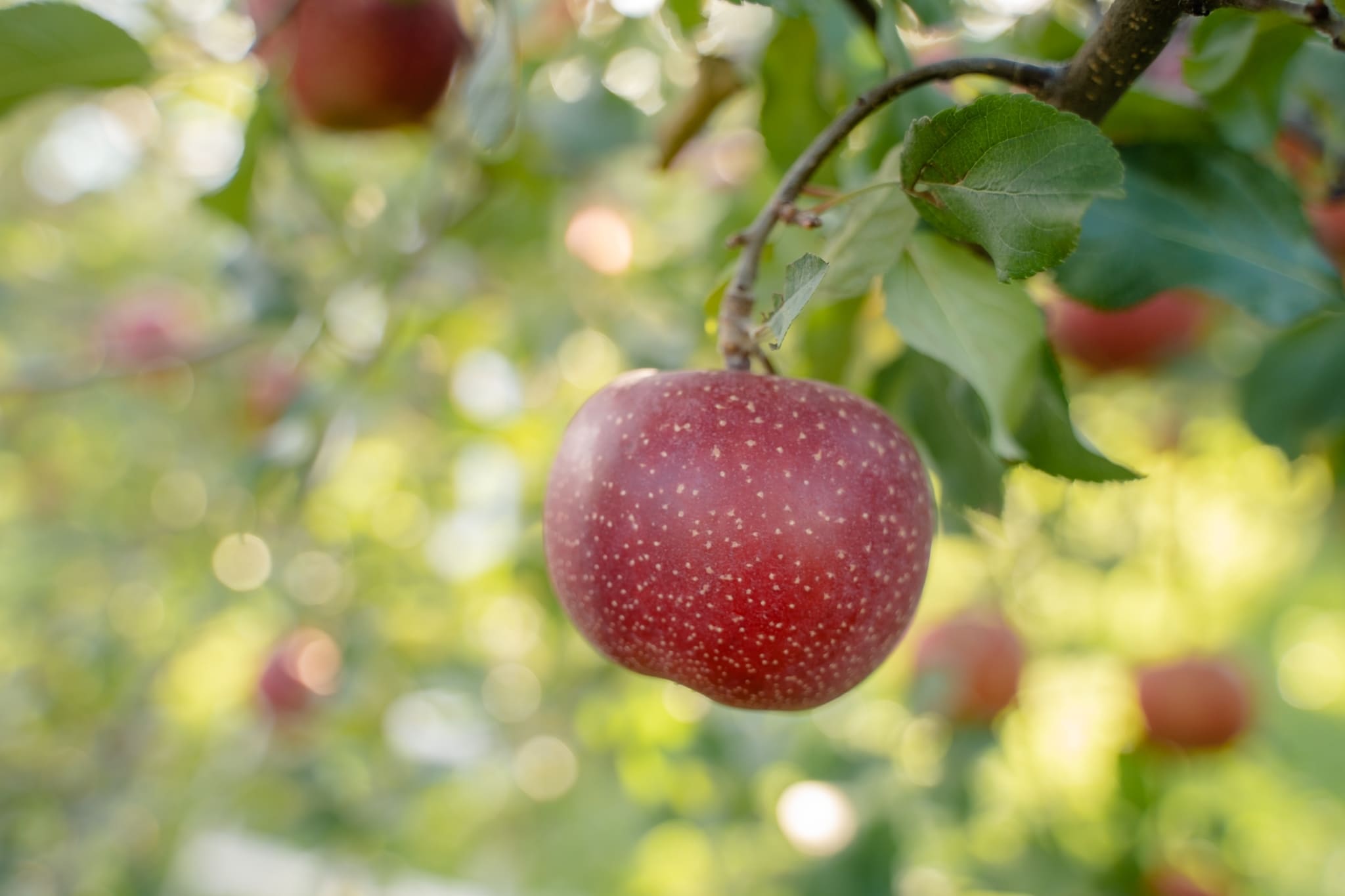 LINE_ALBUM_โทโฮคุ_231122_8_0