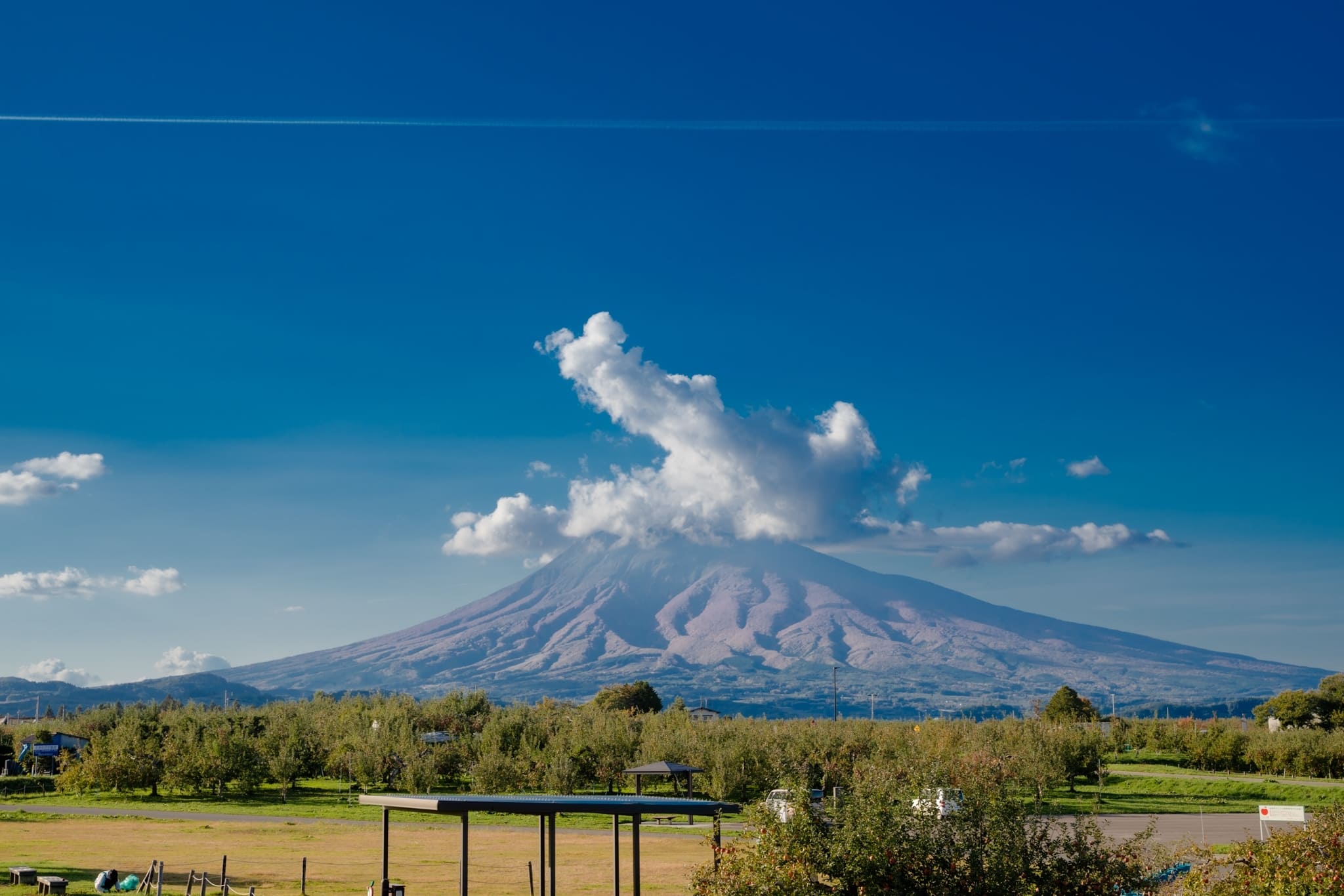 LINE_ALBUM_โทโฮคุ_231122_9_0