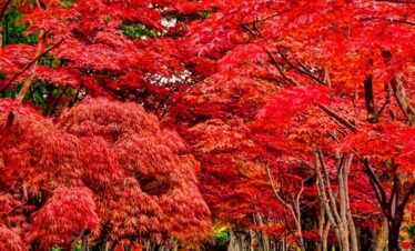 HOKKAIDO AUTUMN It’s time for another adventure