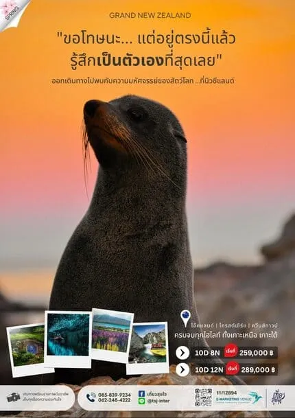 14_0 scaled_13_11zon