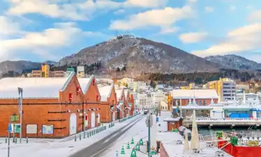 Snow-covered cityscape with colorful buildings and Mount Hakodate in the background, offering a scenic winter view in Hakodate, Japan. Perfect for travel enthusiasts seeking winter destinations.