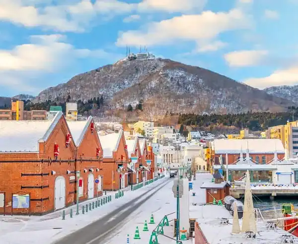 Snow-covered cityscape with colorful buildings and Mount Hakodate in the background, offering a scenic winter view in Hakodate, Japan. Perfect for travel enthusiasts seeking winter destinations.