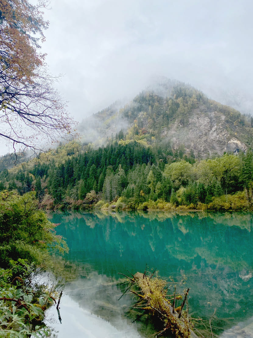 LINE_ALBUM_October 2025_251223_136_0