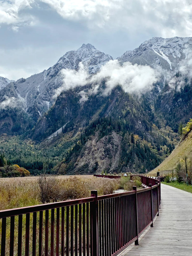 LINE_ALBUM_October 2025_251223_352_0