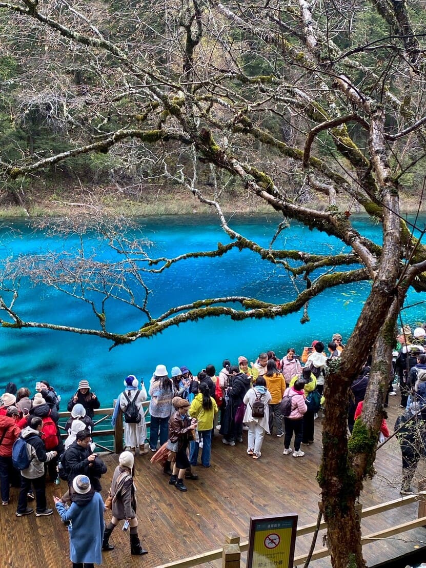 LINE_ALBUM_October 2025_251223_37_0