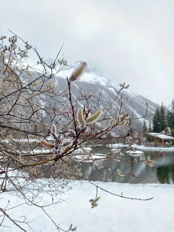 drhgptjrubp3egrs9hkx