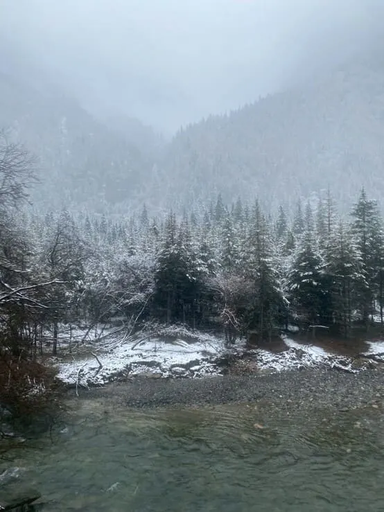 n26sh1mp33ujzidggcn0