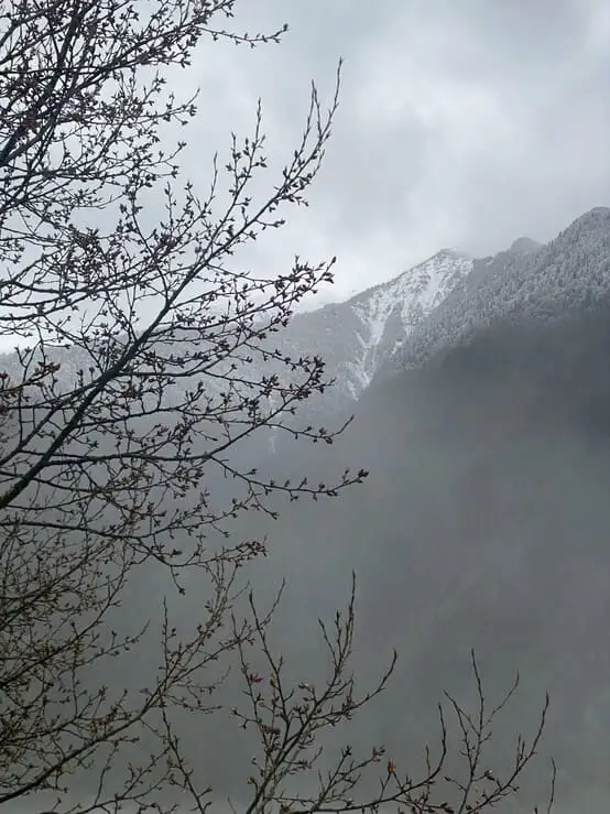 ovgdd9yiclz5orltws6y