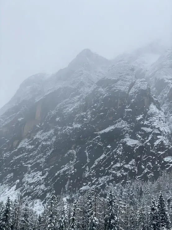 scu7mwwrd1ngcefoyq0b