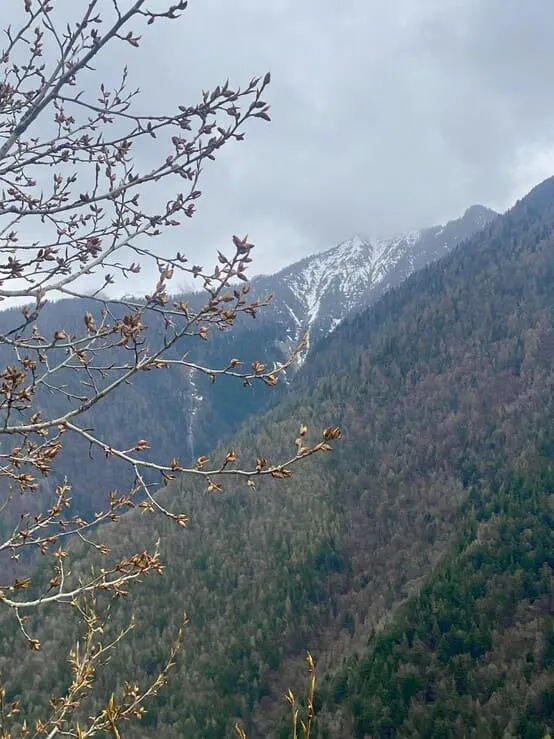 xnuhqvhzl28gdpqjz6gd